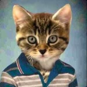 Meet your Posher, Josh